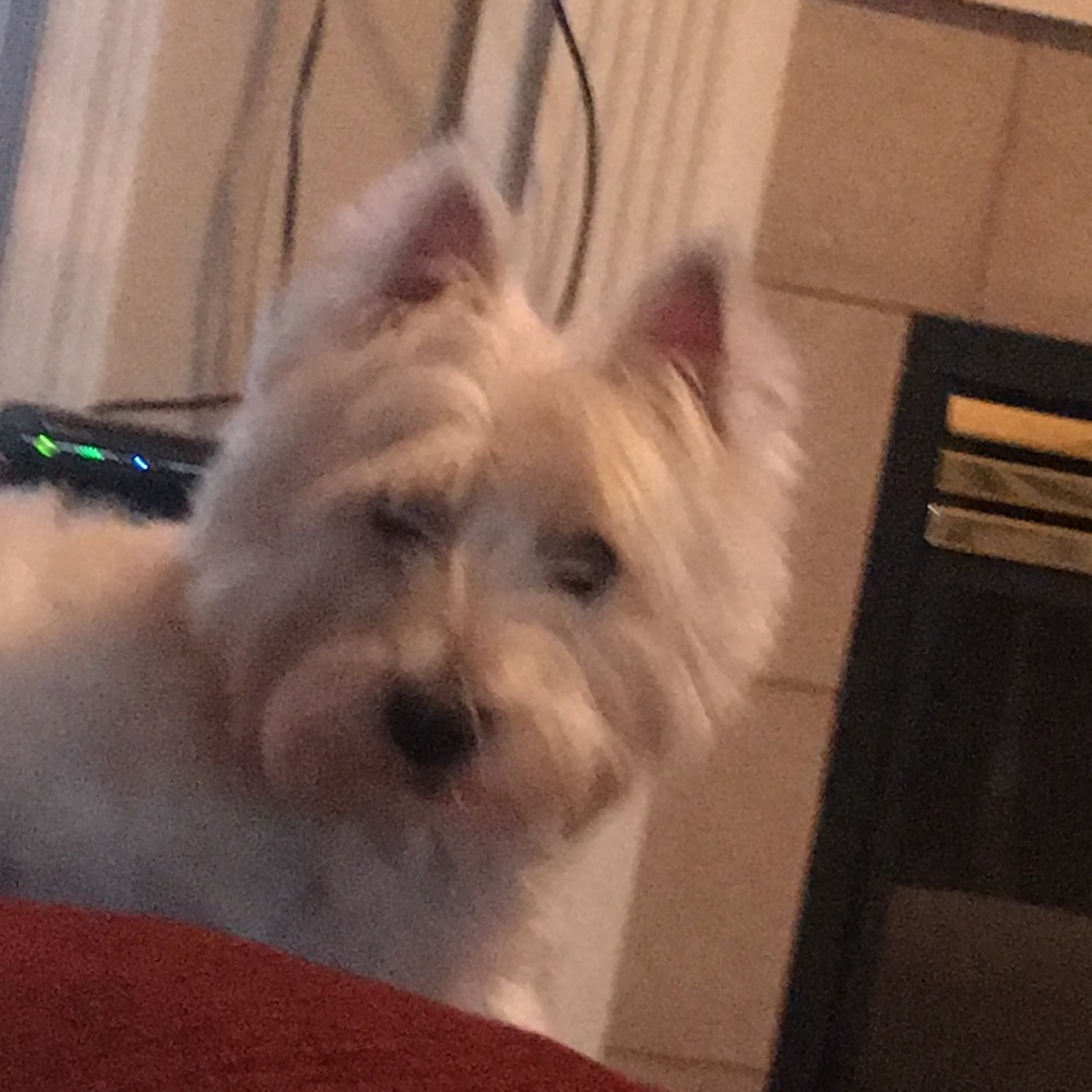 Meet your Posher, Melissa